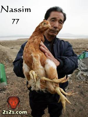 ����� ����� ����