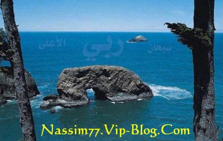 ����� ���� ��� ������ ������