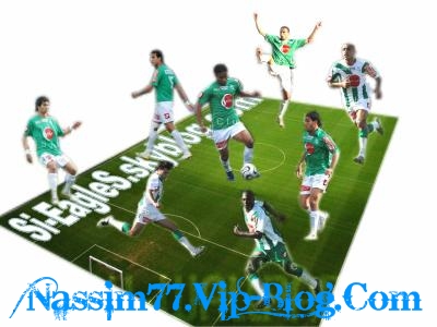 <center>Our Palmeras Gonna Be Great